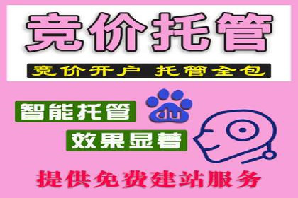 百度竞价赚钱的技巧与成功案例探讨